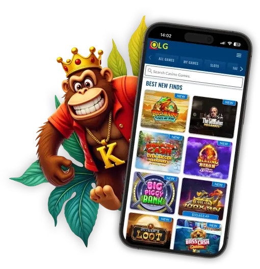 Vista previa de la aplicación